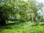 http://www.notaires-pont-hebert-manche.fr/annonces-immobilieres-20388-----20388_2